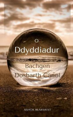 Book cover for O Ddyddiadur Bachgen Dosbarth Canol