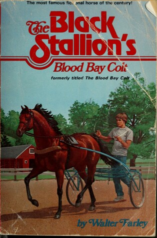 Book cover for F6 Blood Bay Colt
