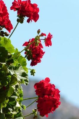 Book cover for Red Geranium Flowers Journal