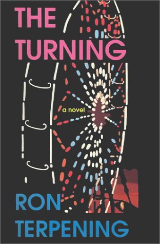 Book cover for The Turning