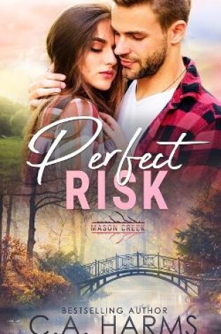 Cover of Perfect Risk
