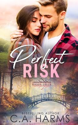 Book cover for Perfect Risk
