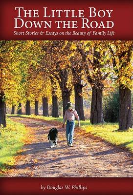 Book cover for The Little Boy Down the Road