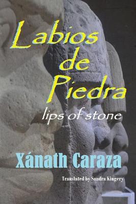 Book cover for Labios de Piedra