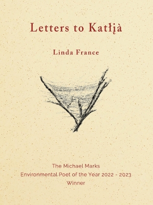 Book cover for Letters to Katłįà