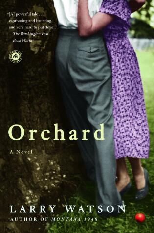 Cover of Orchard