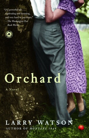 Book cover for Orchard