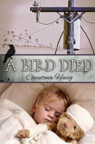 Cover of A Bird Died