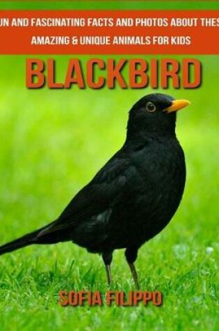 Cover of Blackbird