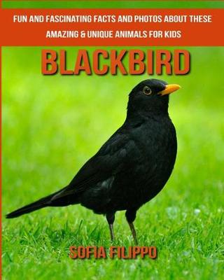 Book cover for Blackbird