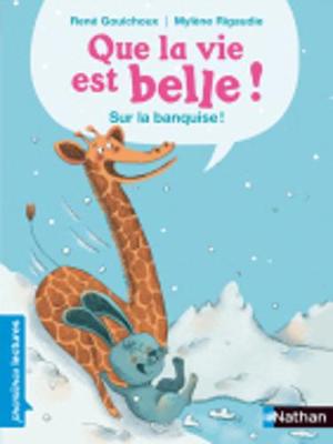 Book cover for Que la vie est belle...Sur la banquise!