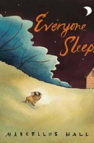 Cover of Everyone Sleeps