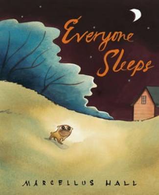 Book cover for Everyone Sleeps