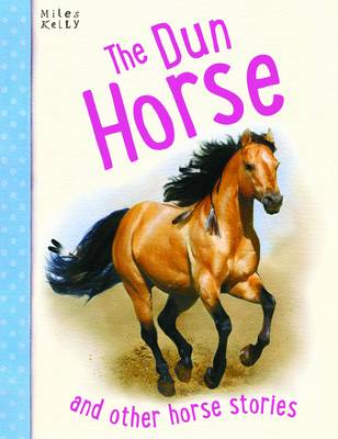 Book cover for Dun Horse