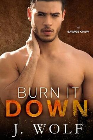 Cover of Burn it Down