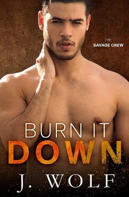 Book cover for Burn it Down