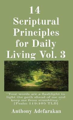 Book cover for 14 Scriptural Principles for Daily Living Vol. 3