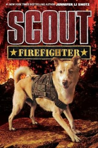 Cover of Firefighter