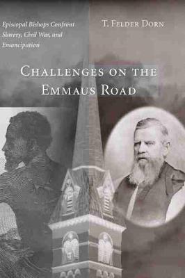 Book cover for Challenges on the Emmaus Road