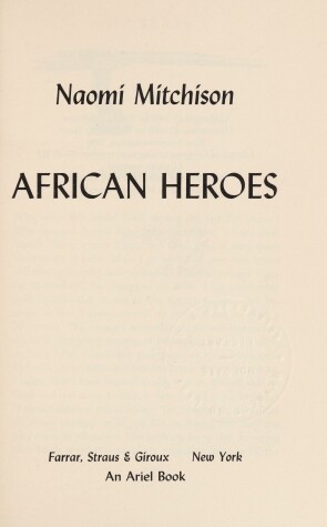 Book cover for African Heroes