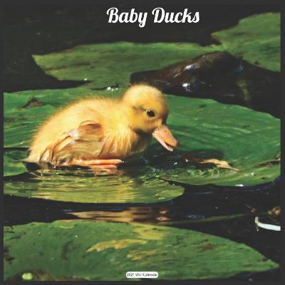 Book cover for Baby Ducks 2021 Wall Calendar