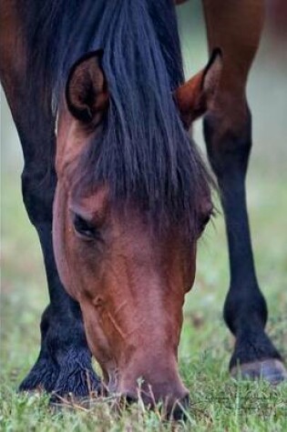 Cover of Grazing Horse Journal