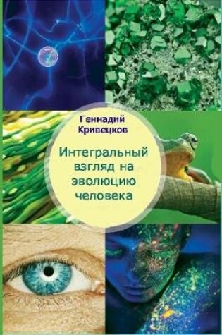 Cover of Integrated View of Evolution of the Person