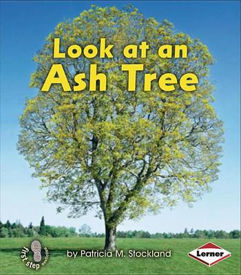 Book cover for Look at an Ash Tree