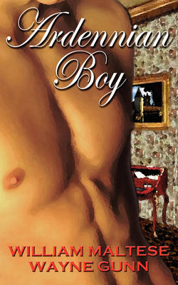 Book cover for Ardennian Boy