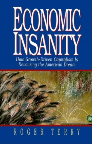 Book cover for Economic Insanity