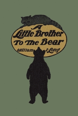 Book cover for A Little Brother to the Bear