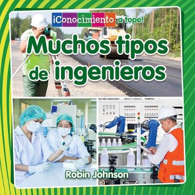 Book cover for Muchos Tipos de Ingenieros (Many Kinds of Engineers)