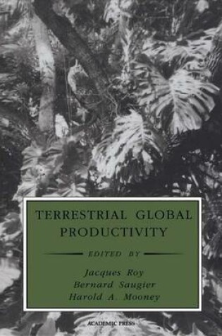 Cover of Terrestrial Global Productivity