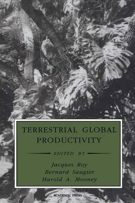 Book cover for Terrestrial Global Productivity