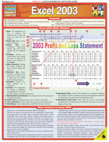 Cover of Excel 2003