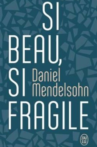 Cover of Si beau, si fragile