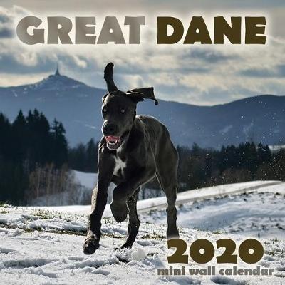 Book cover for Great Dane 2020 Mini Wall Calendar