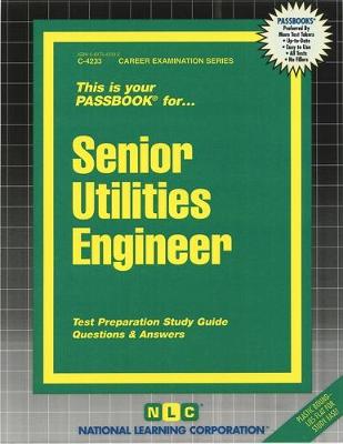 Book cover for Senior Utilities Engineer