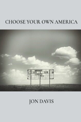 Cover of Choose Your Own America