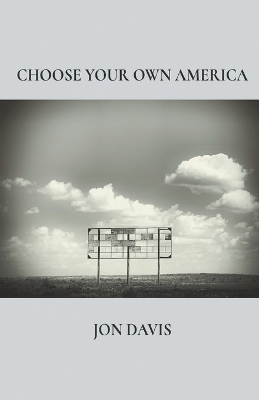 Book cover for Choose Your Own America