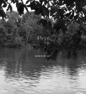 Book cover for Dawoud Bey: Elegy