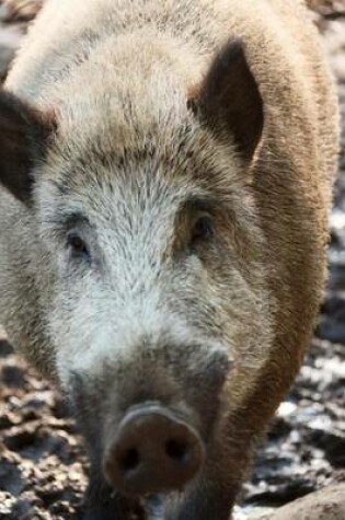 Cover of Close-Up of a Boar Animal Journal