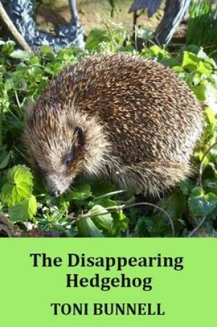 Cover of The Disappearing Hedgehog
