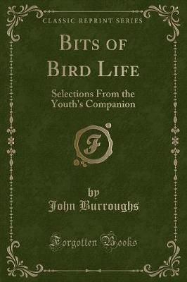 Book cover for Bits of Bird Life