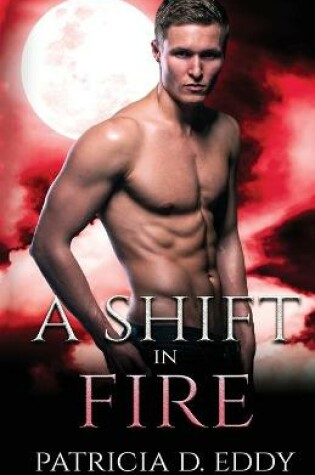 Cover of A Shift in Fire