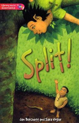 Book cover for Literacy World Comets Stage 2 Novel Split  (6 Pack) (07/08)