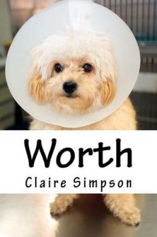 Cover of Worth