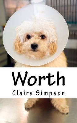 Book cover for Worth