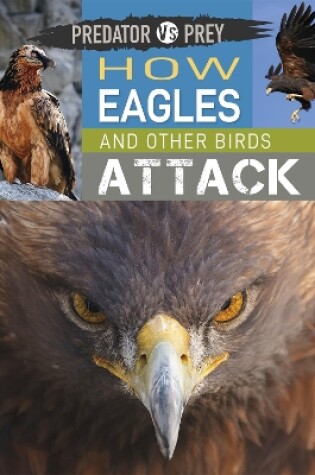 Cover of Predator vs Prey: How Eagles and other Birds Attack