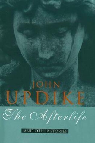 Cover of The Afterlife